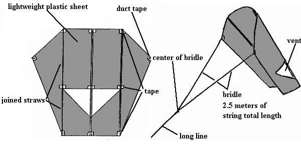 what shape  is a kite