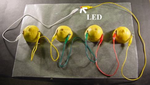 Fruit Battery Diagram